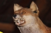 &nbsp;