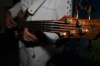 &nbsp;