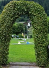 &nbsp;