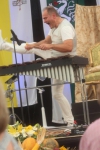 &nbsp;