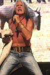 &nbsp;
